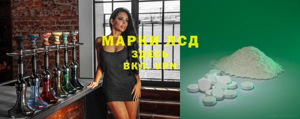 ешки Аркадак