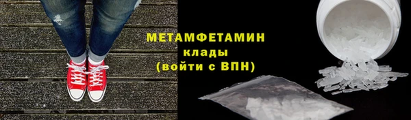 прущие грибы Нягань