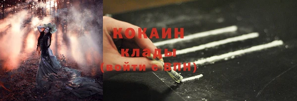 крисы Арсеньев