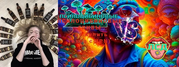 ешки Аркадак