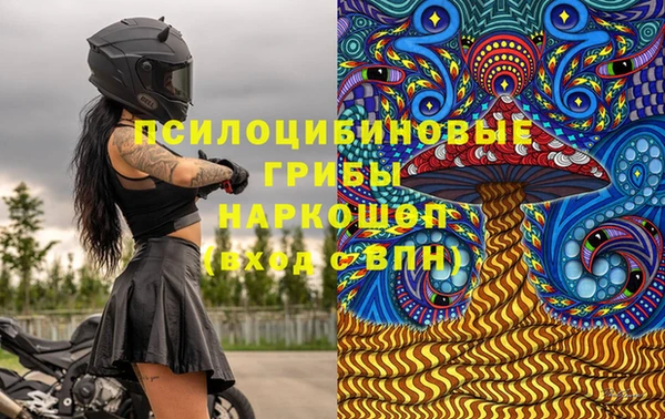 крисы Арсеньев