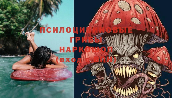 ешки Аркадак