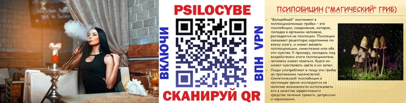 купить наркотик  Славск  Псилоцибиновые грибы Psilocybe 